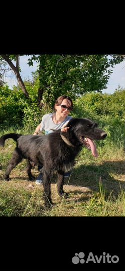 Крутой парень добрый ищет семью