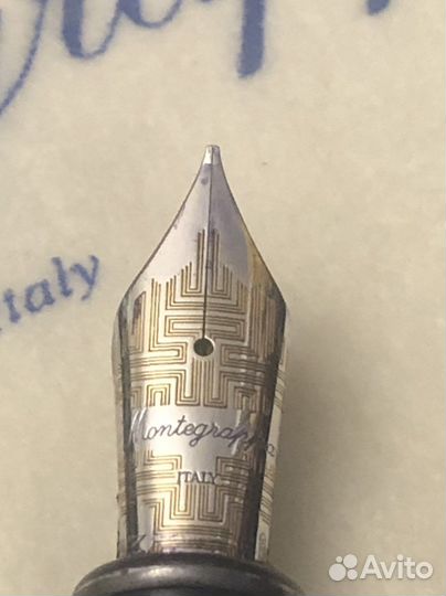 Перьевая ручка montegrappa science & nature 