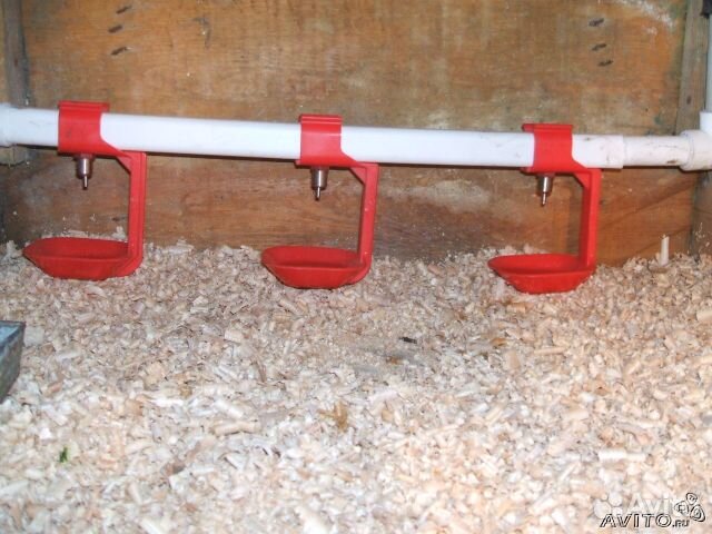 Ниппельные поилки для птиц