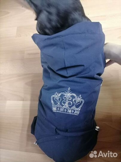 Комбинезон для таксы (спинка 36см)