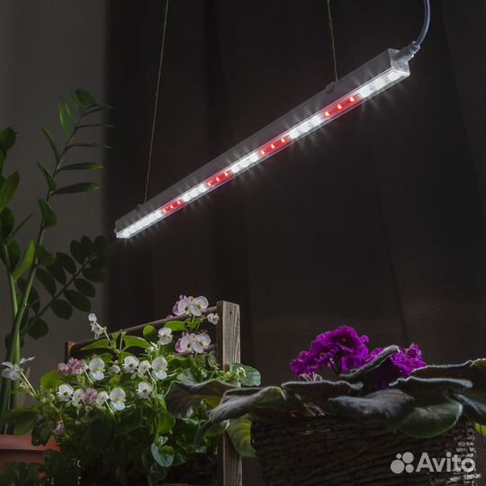 Б0049311 Светильник для растений, фитолампа светод