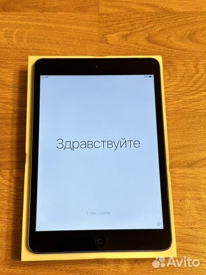 iPad mini wi-fi + cellular