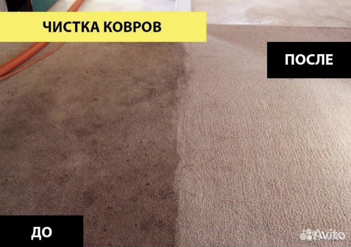 Аренда моющего пылесоса karcher