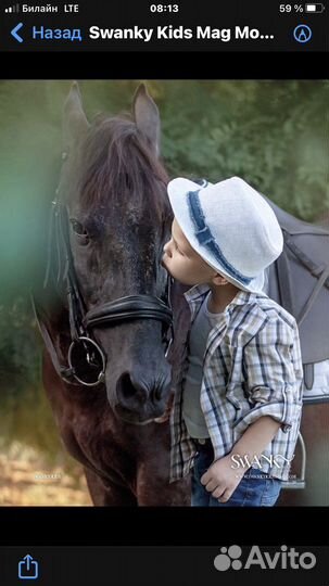 Пони и Лошадь на заказ