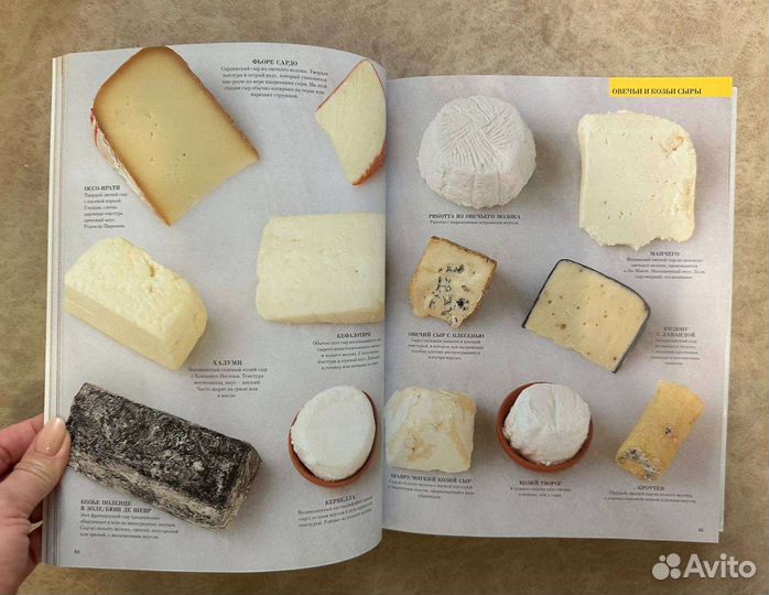 Книга элементы питания. Визуальная энциклопедия