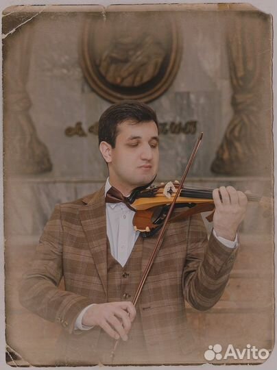 Скрипка на праздник