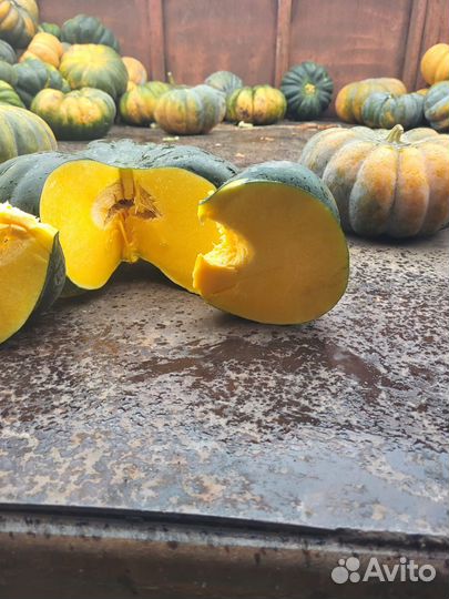 Тыква Мускат Де Прованс