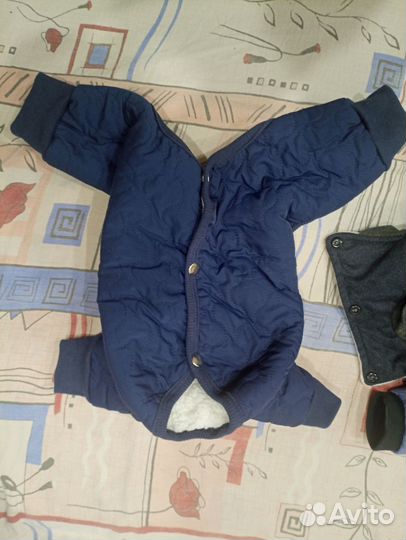 Комбинезон для собак мелких пород