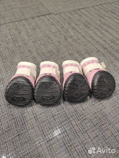 Ботиночки на маленькую собаку