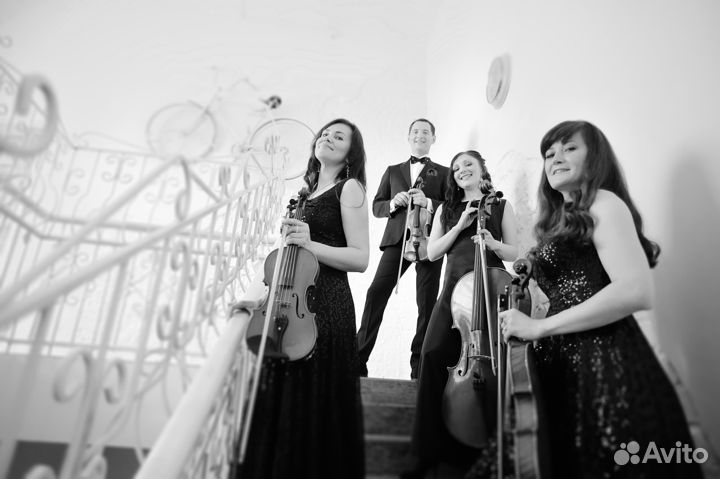 Струнный квартет 