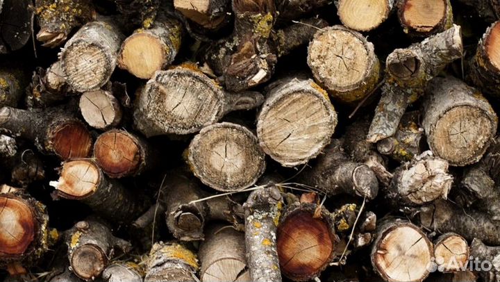 Дрова на дачу
