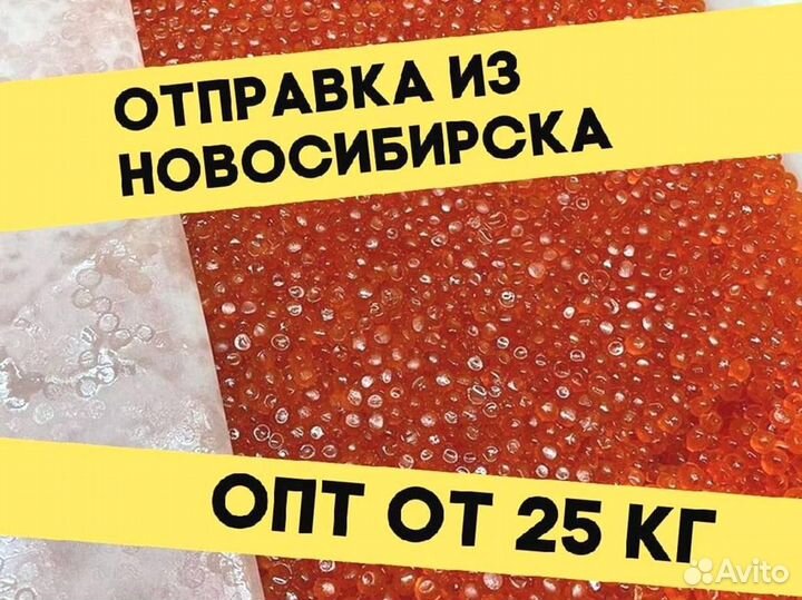 Икра кеты красная, улов 2023