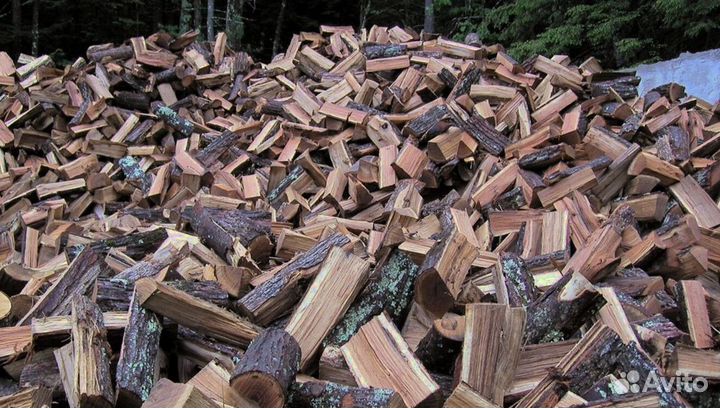 Дрова в Сертолово
