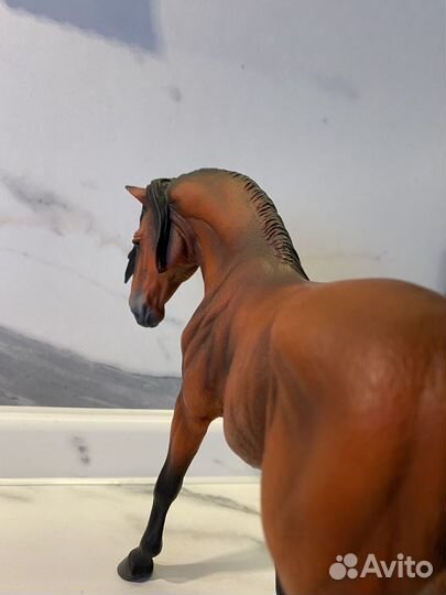 Collecta андалузский жеребец