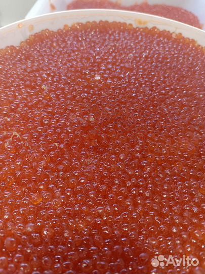 Продам икру кеты