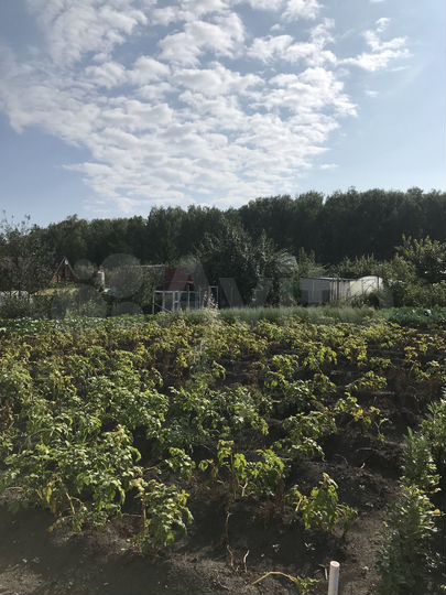 Участок 4,5 сот. (СНТ, ДНП)