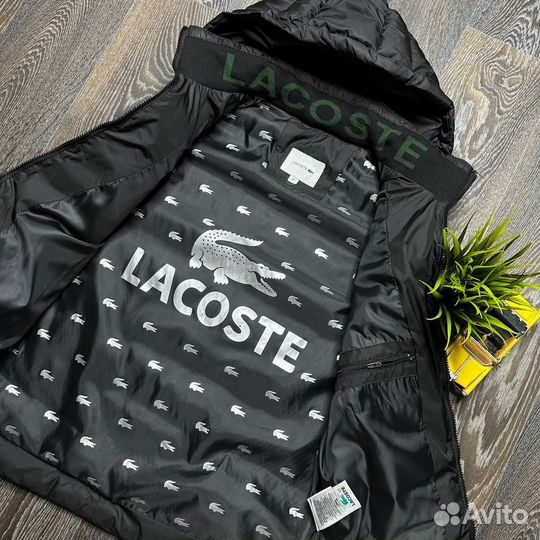 Жилетка мужская Lacoste