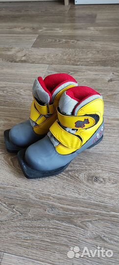 Лыжные ботинки