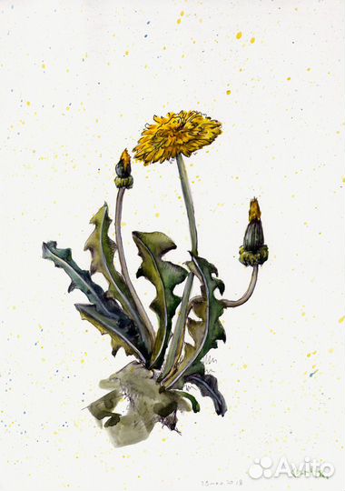 Цветочные картины акварелью