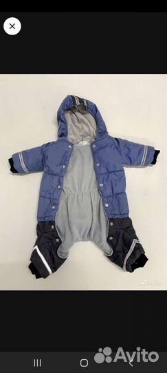 Комбинезон на собаку