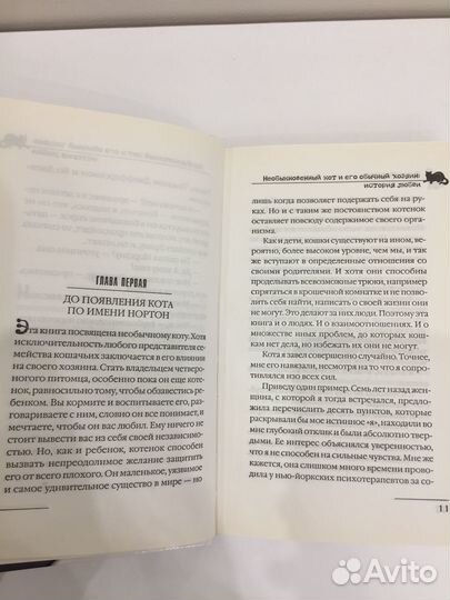 Питер Гитерс - Необыкновенный кот и его обычный хо