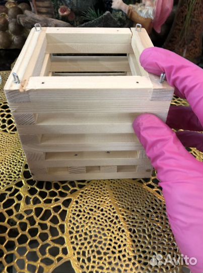 Корзинки для Ванд орхидей