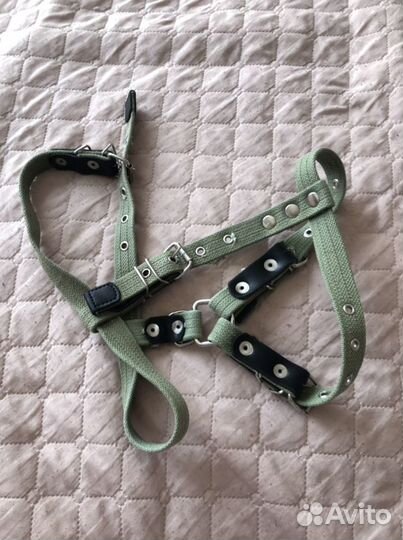 Шлейка для собаки