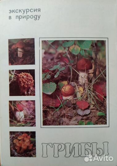 Наборы открыток