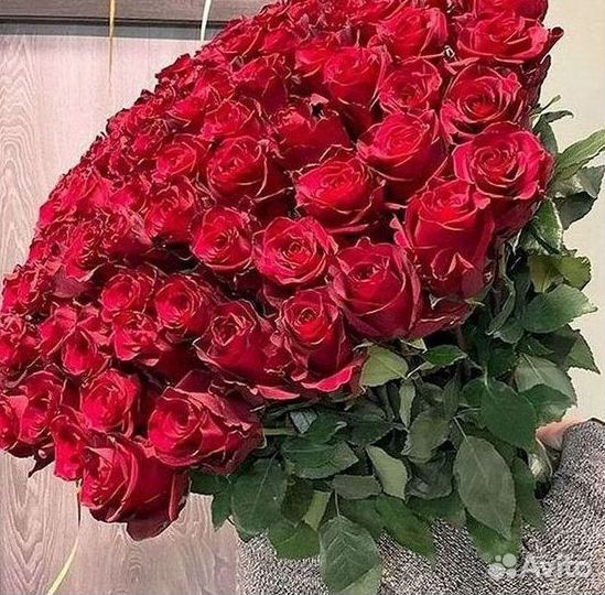 Розы Высокие 150см 160см 170см 180см 190см 2м