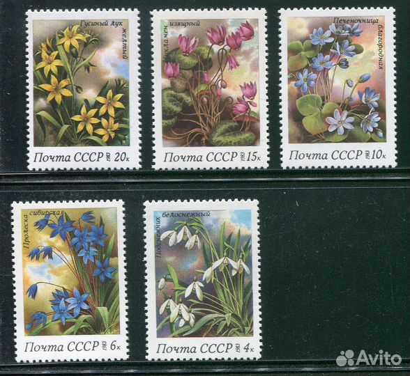 Почтовые марки СССР Флора Растения Грибы