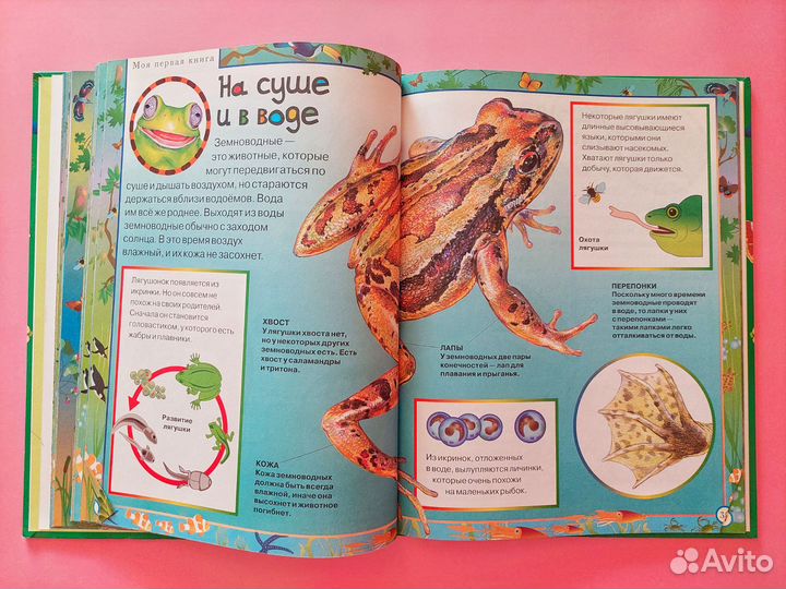 Книга о животных