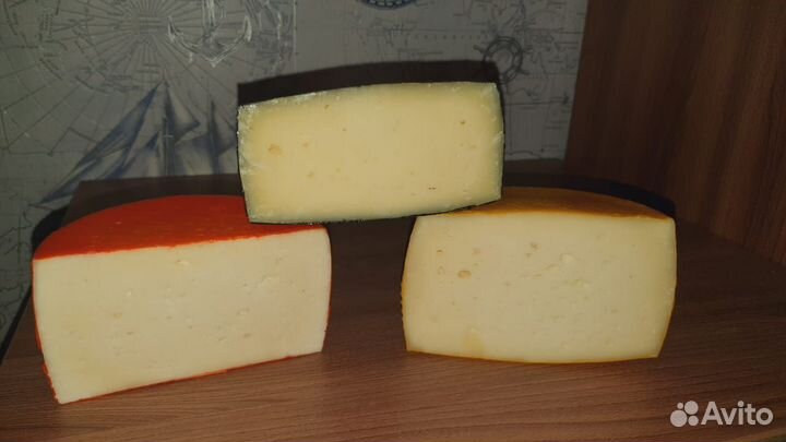 Козье молоко. Сыр из козьего молока. Кисломолочка