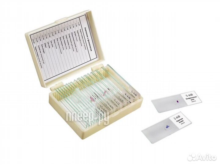 Набор готовых препаратов Микромед Анатомия и ф