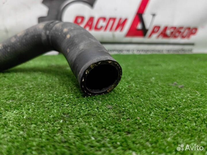 Патрубок радиатора нижний Toyota Land Cruiser Prad