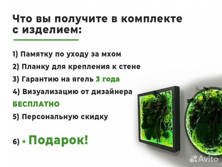 Круги из стабилизированного мха композиция