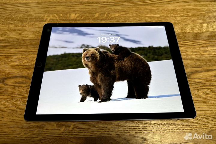 iPad pro 12 9 2017 2 gen 256 gb wi fi only