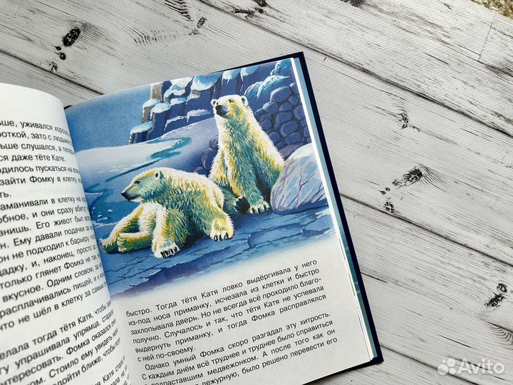 Фомка - белый медвежонок