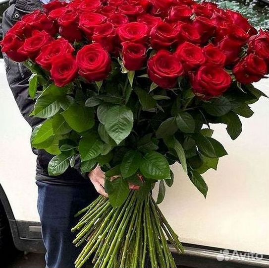 Букет роз 101 роза 51 роза