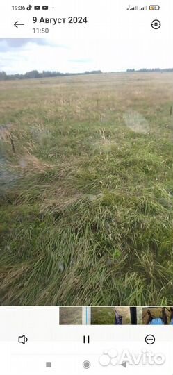 Продам сено в рулонах