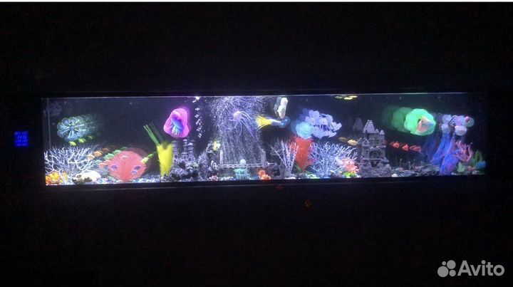 Оригинальный настенный аквариум