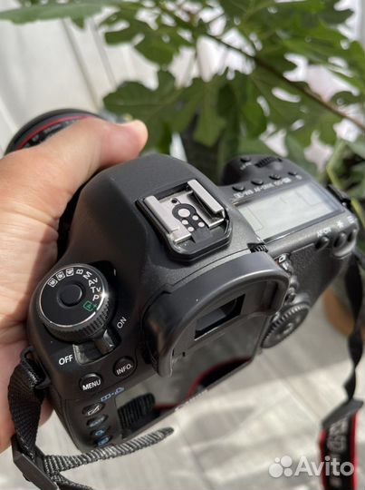 Canon 5d mark III 1850 кадров