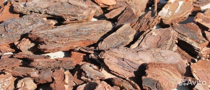 Кора сосновая для ланшафта с доставкой