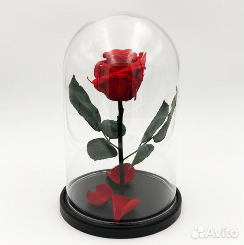 Роза в колбе