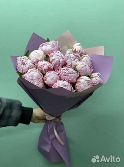 Пионы Галанский