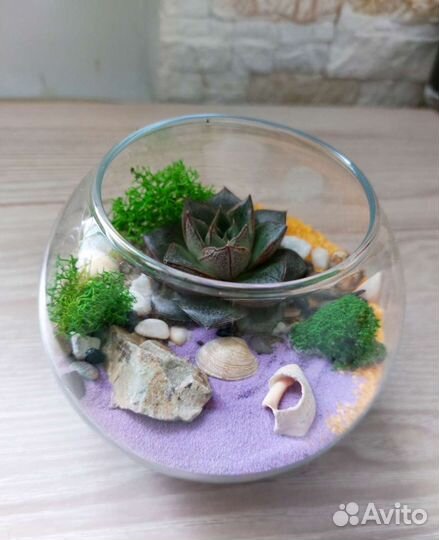 Флорариум - маленький кусочек природы