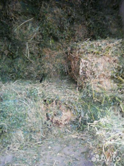 Люцерна, луговое и солома.укос 2023 года