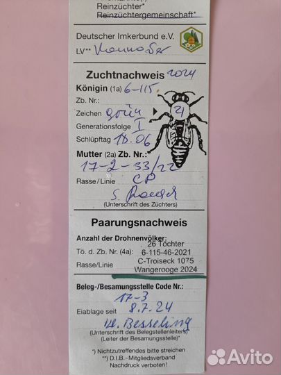 Пчеломатки