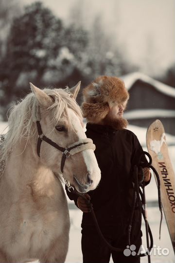 Фотосессии