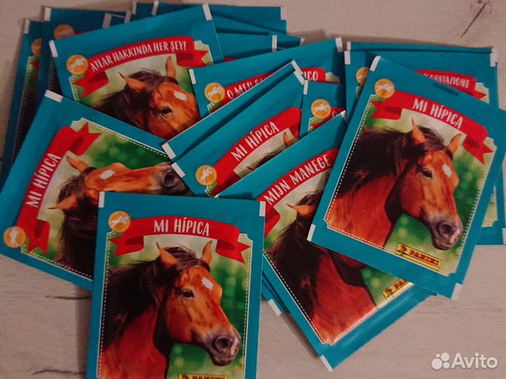 Наклейки panini мой клуб верховой езды