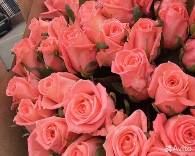 Розы России 60 см